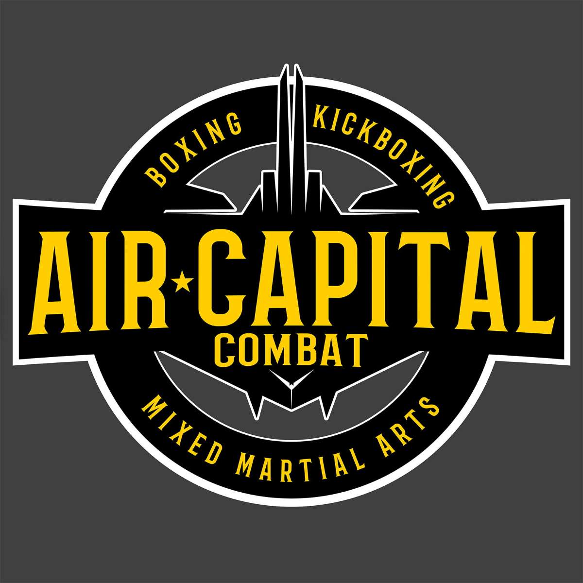 Air Capital Combat